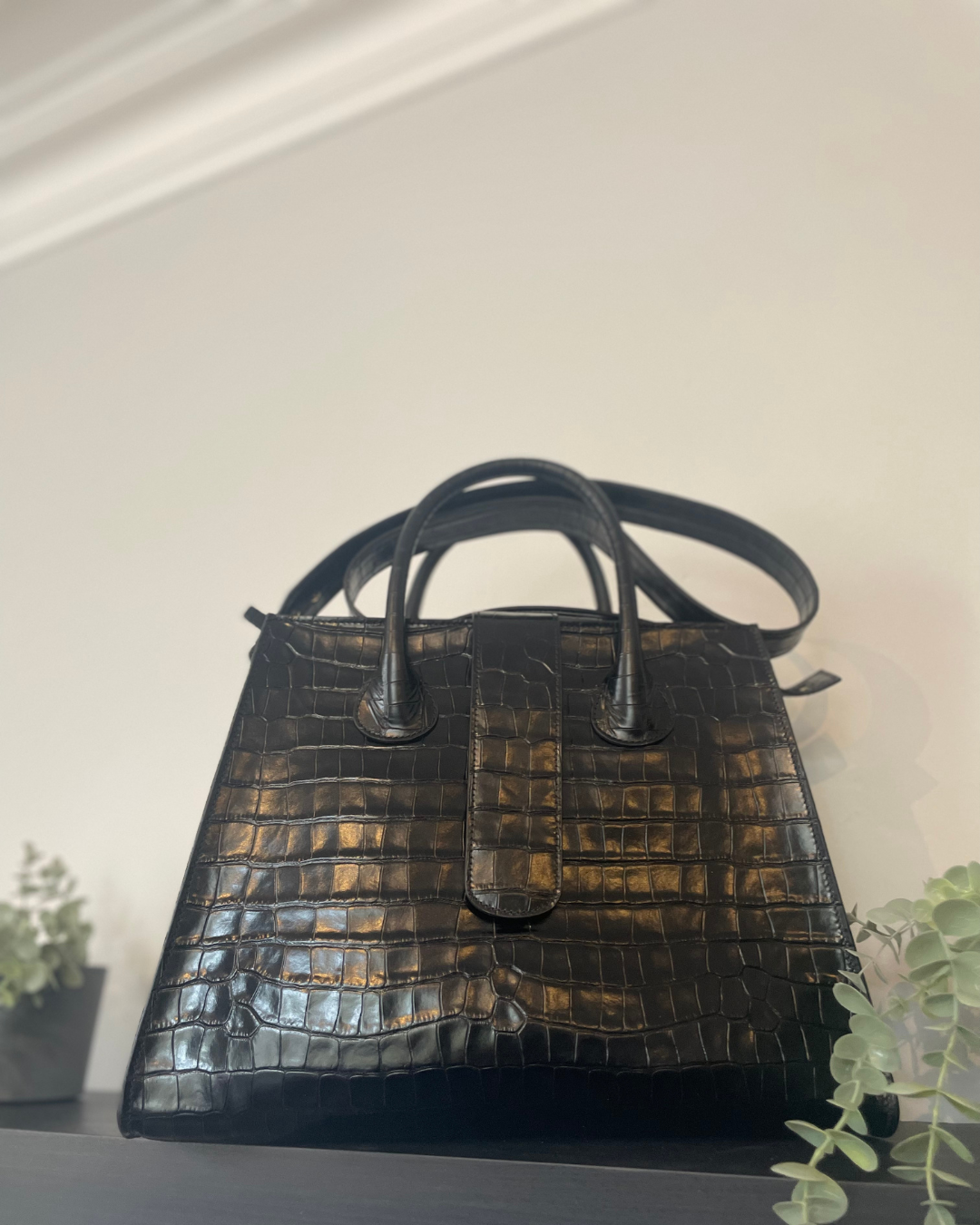 CNicol Black Croco Leather Bag Against a white background with light green plants