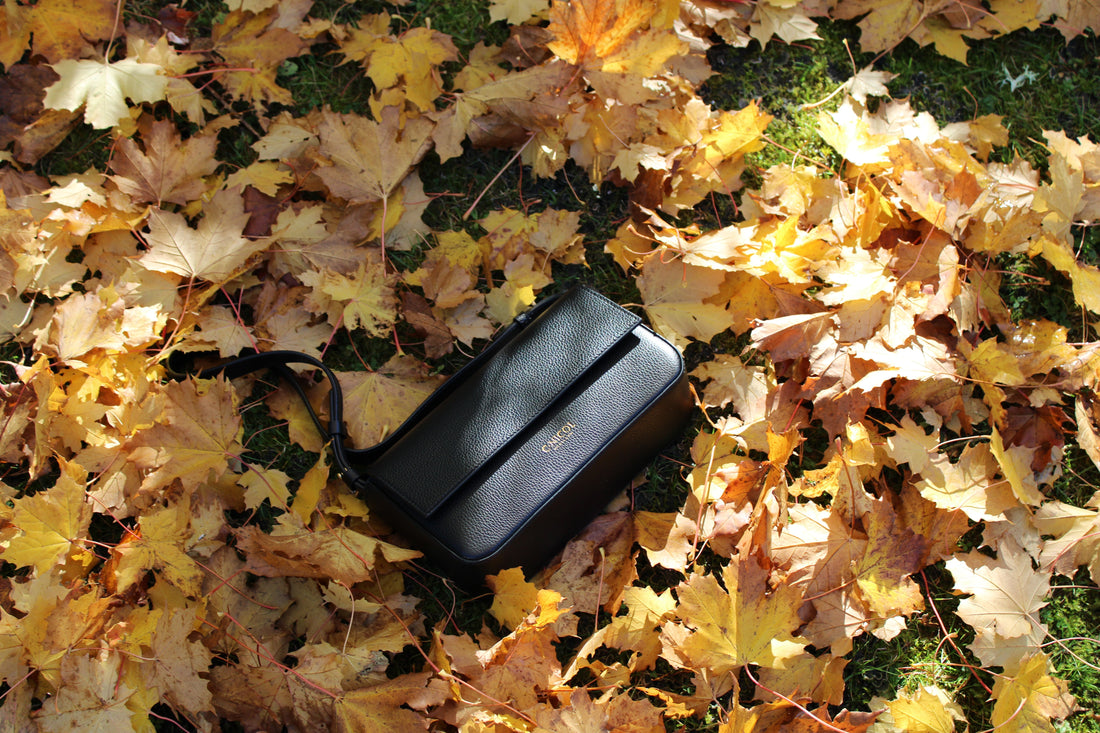 C.Nicol Scotland - Frequently Asked Questions