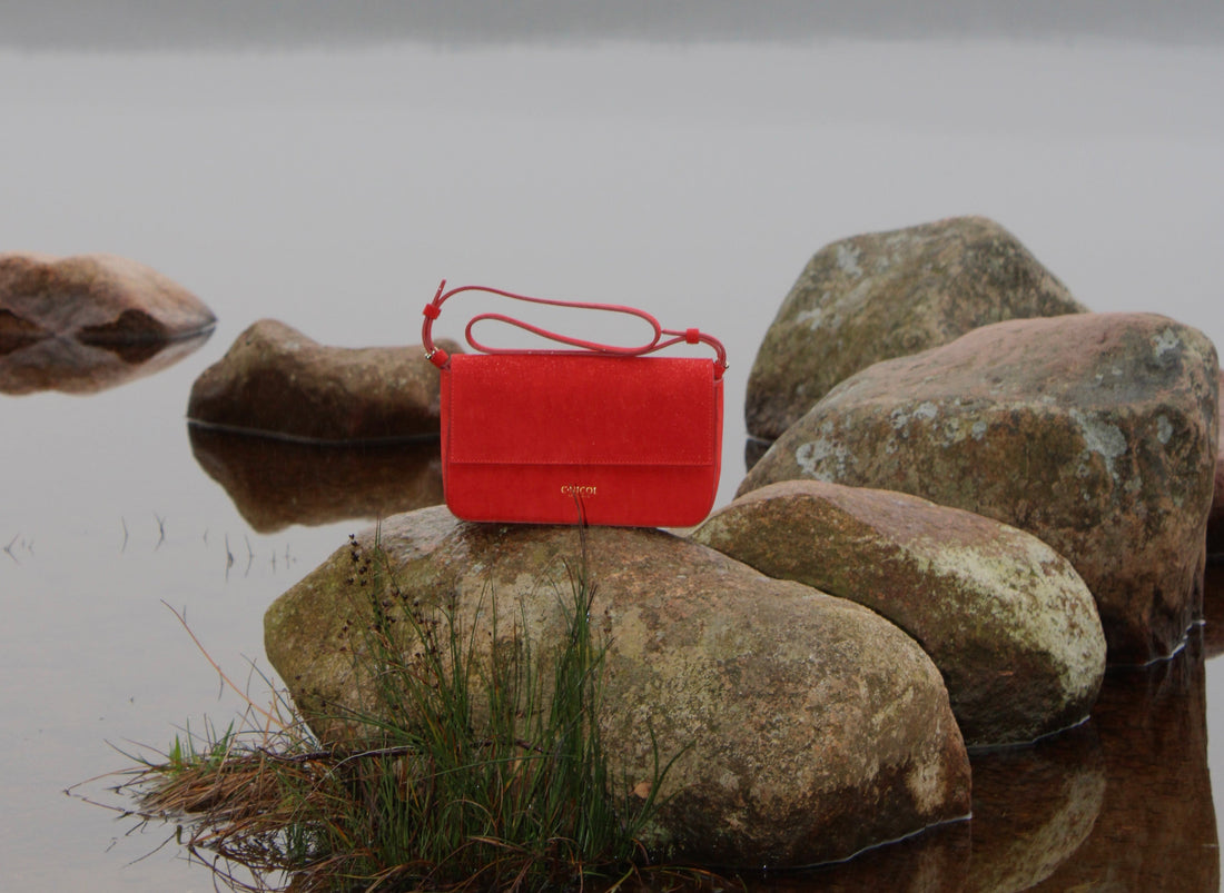 Christmas 2025 order dates